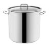 Orion Edelstahltopf mit Deckel Stock, 35 l