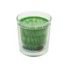Palmová vonná svíčka ve skle zelený čaj