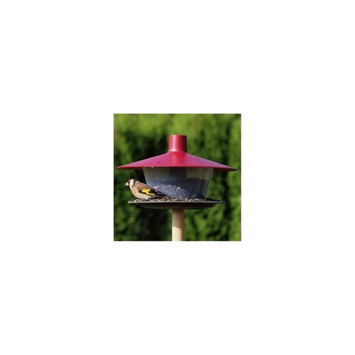 Karmnik dla ptaków Finch, czerwony