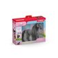 Schleich 42581 iapă Criollo Definitivo cu coamăpieptănată