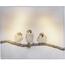 LED Obraz na plátne Animal and snow Bird, 20 x 25 cm