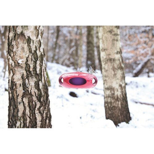 Karmnik dla ptaków PI:P malinowa