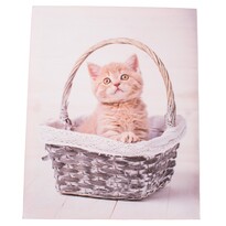Kittie in basket vászonkép, 30 x 40 cm
