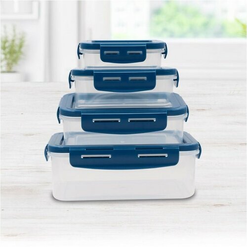 Mediashop Livington Flex &amp; Fresh posoda, 4 kos