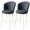 Barstuhl-Set Fora Anthracite and White, 2 Stück