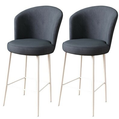 Barstuhl-Set Fora Anthracite and White, 2 Stück