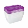 Keeeper Sada plastových dóz do mrazničky 5x 0,5 l Fredo Fresh, fialová