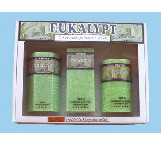 Darčeková sada palmových sviečok eukalyptus
