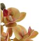 Umelá kvetina Orchidea tmavoružová, 10 x 10 x 63 cm