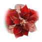 Róża bożonarodzeniowa czerwony, 55 cm