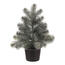 Świerk dekoracyjny w doniczce, 40 cm, zielony, pokryty szronem