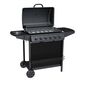 Tepro 3309 Hampton 6 grill pe gaz, 6 arzătoare,123 x 55 x 98 cm