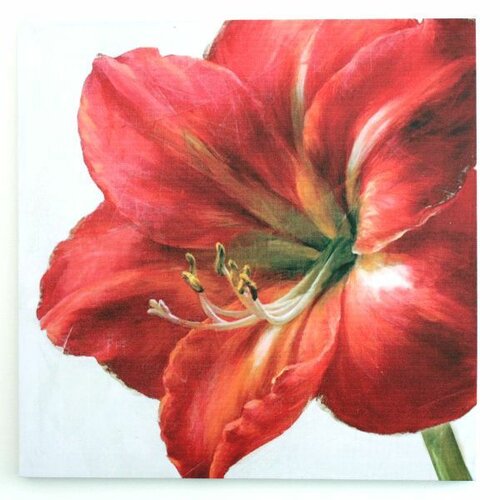 Obraz na plátne Red flower, 50 x 50 cm