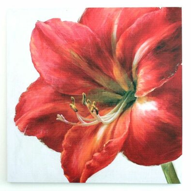 Red flower vászonkép, 50 x 50 cm
