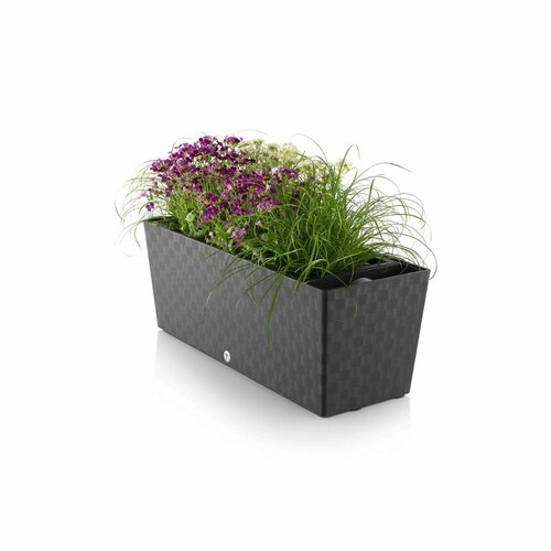 Flower Lover Selbstbewässernder Blumenkasten  Supreme Antrazit, 50 cm