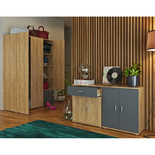 ADELI-Schrank Typ 1, Eiche Artisan