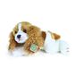 Câine pluș Rappa Cavalier King CharlesSpaniol, 30 cm