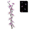 Umelá kvetina orchidea LED svetlo ružová