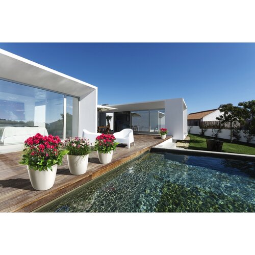 Gardenico Lonec Ella Twist 'n' Roll siva, 30 cm