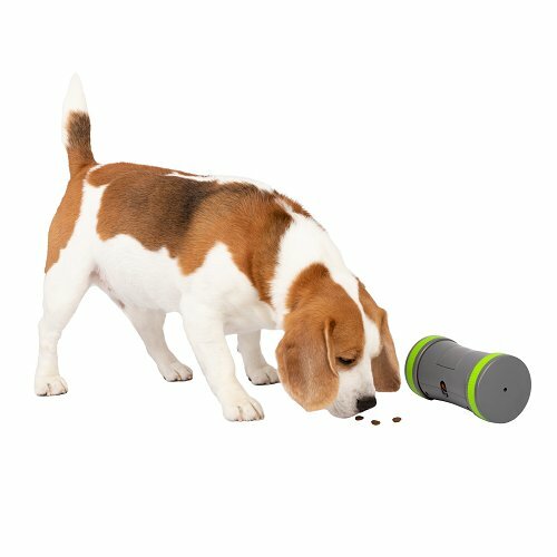 PetSafe® Kibble Chase™ Elektronikus játékkutyáknak