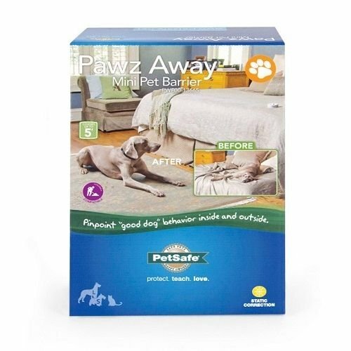 PetSafe® Extra nyakörv a Pawz Away Miniállatsimogatóhoz termék 2. képe