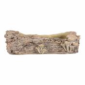 Betonska embalaža - korito, les z gobami, 49 x 21 x 15 cm