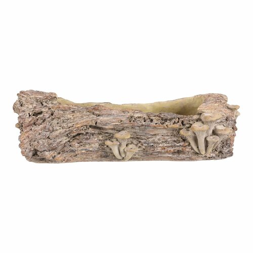 Betonübertopf – Blumenkasten, Holz mit Pilzen, 49 x 21 x 15 cm