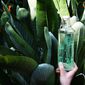 Sticlă Soulbottles Cactus Power, 1 l