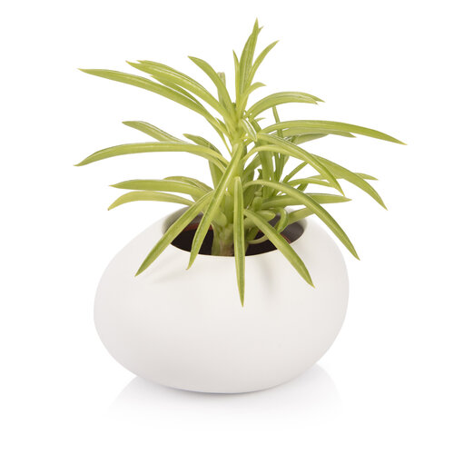 Tescoma Cutie pentru ghiveci mic FANCY HOMEStones, alb