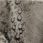 AmeliaHome Ubrus Gaia capuccino, 110 x 110 cm