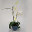 Plastia Tyčka k orchideji List zelená, 60 cm
