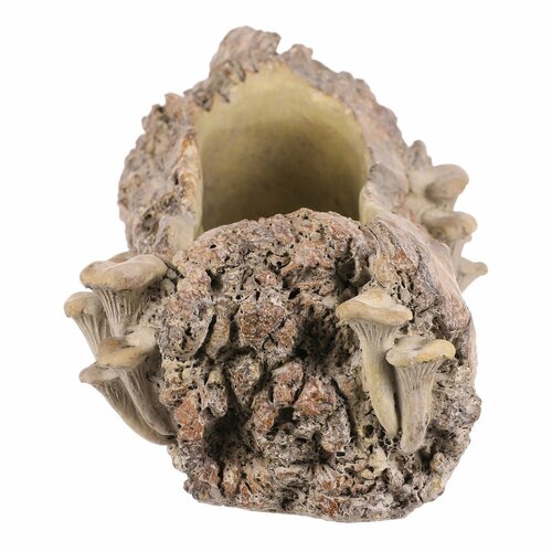 Betonübertopf – Blumenkasten, Holz mit Pilzen, 49 x 21 x 15 cm