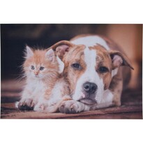 Macska és kutya Lábtörlő , 38 x 58 cm