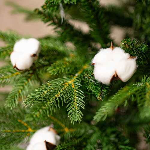 Декоративні головки з тополі, 12 шт