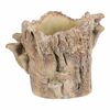 Beton burkolat - tusk with mushrooms, 20 x 18 x 18cm