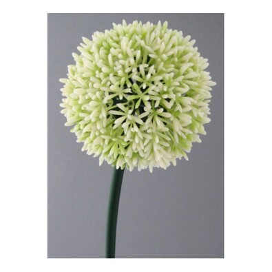 Sztuczny kwiat Czosnek biały, 68 cm