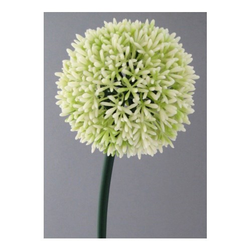 Umelá kvetina Cesnak biela, 68 cm