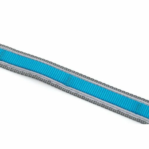 Kurgo® Quantum 2.0 Vodítko pro psy, modrá