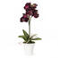 Umelá orchidea v kvetináči tmavo fialová