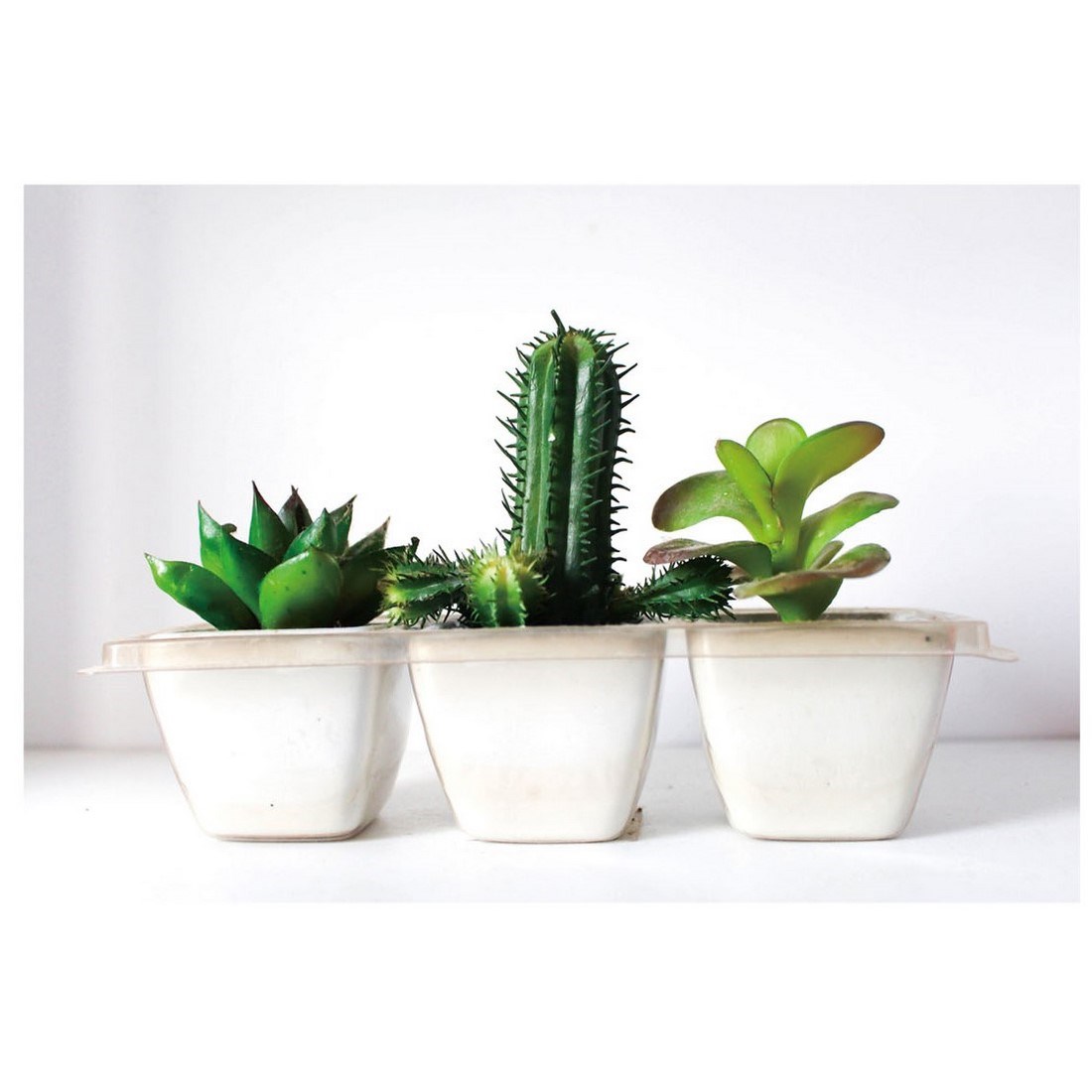 Obraz na plátne Kaktusy Arizona, 60 x 40 cm