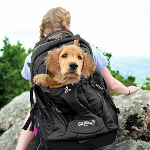 Kurgo G-TRAIN K9 Sportrucksack für Hund, Schwarzschwarz,