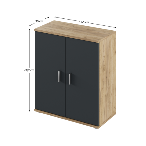 ADELI-Schrank Typ 1, Eiche Artisan