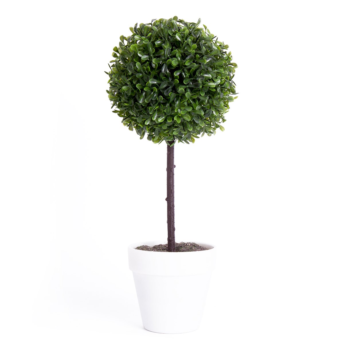 Buxusový strom v květináči bílá, 22 cm