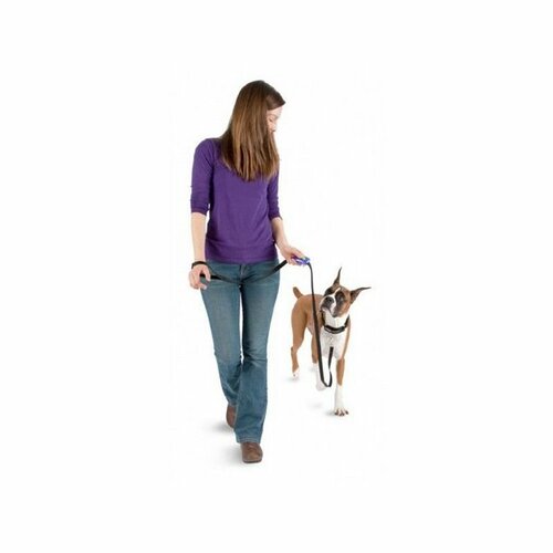 PetSafe Clicker Clik-R Clip Pomôcka na výcvik psov