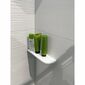 SAPHO AE300-0101 Abeline кутова полиця rockstone 30 x 10 см, ексцентричний, білий матовий