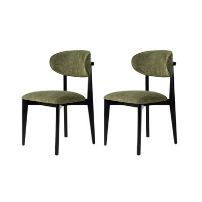 Esszimmerstuhl-Set Lionte Green and Black, 2 Stück