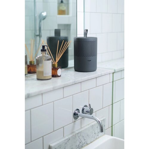 Everbrand Поглинач вологи Absodry Duo Family Bag 6-series, до 50 м3, сірий