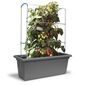 Gardenico függőleges támasz Zöld fal Magnus, 100cm