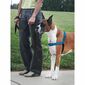 PetSafe Harness EasyWalk Deluxe albastru mărimeaM/L