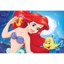 Koupelnová předložka Ariel, 40 x 60 cm